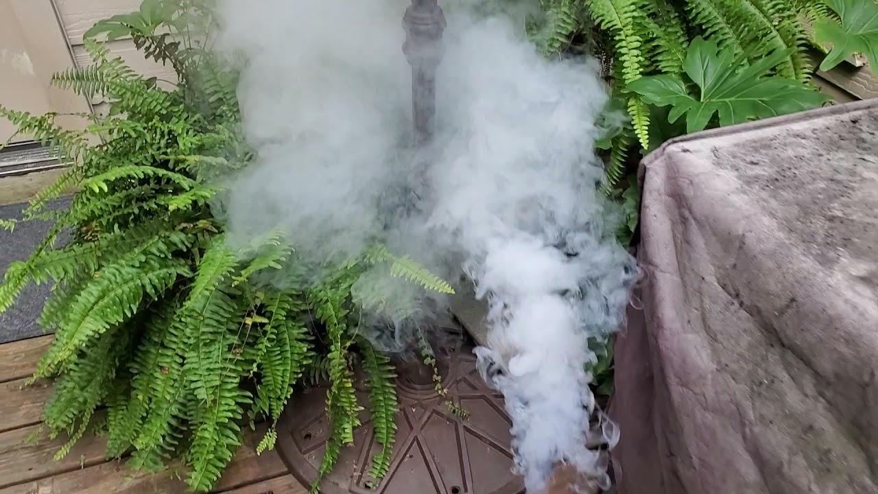 Black Flag Mosquito Fogger