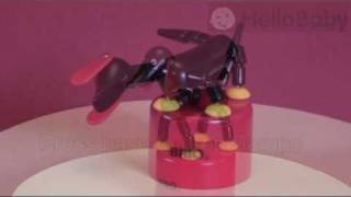 Brio Sampo