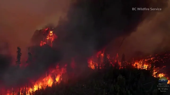 British Columbia appeals for help as wildfires rage