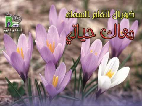 Men Sarkhet Alamمن صرخة بتدوى بتعرف امك فريق انغام السماء من البوم معاك حياتى 