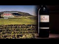 Il Solaia | Marchesi Antinori | Toscana IGP