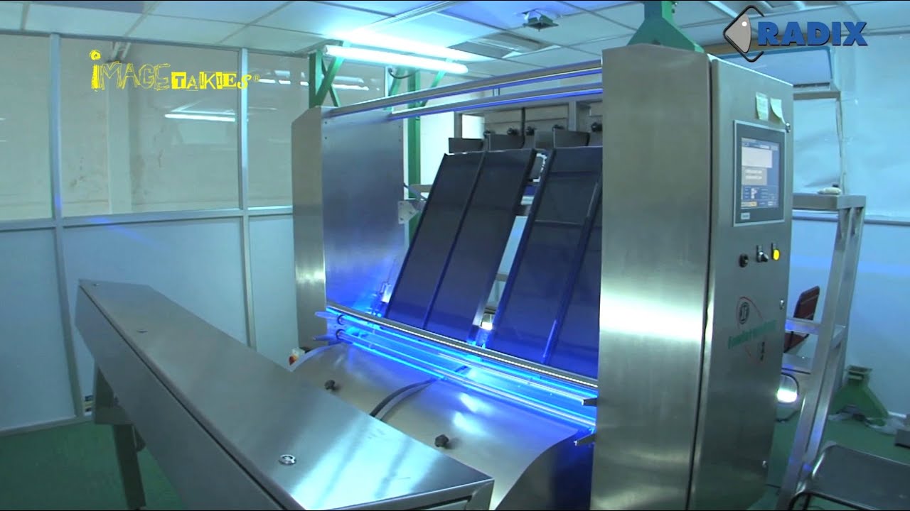 Color Sorter Machine Fowler Westrup Color Sorting Machine