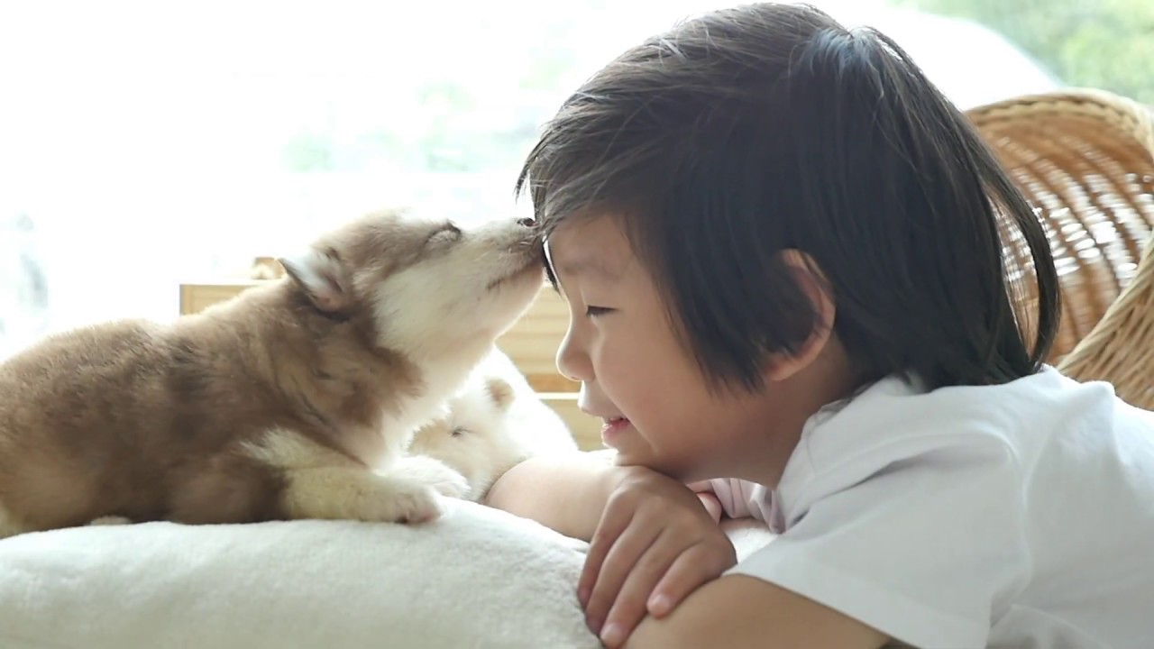 Preparing For Your Puppy - Meet Up