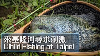 火口季開跑! 來基隆河尋求刺激 || Ciclihd Fishing at Taipei