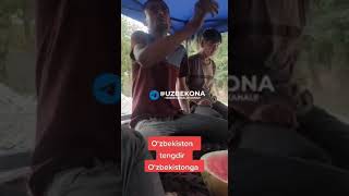 Узбекистон тенгдур Узбекистонга#узбекистан#прикол #приколы
