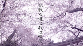 花散る道に我は咲く 5 Youtube 花散る道に我は咲く 5 Youtube