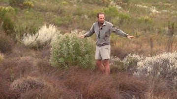 Biodiversity Hotspots