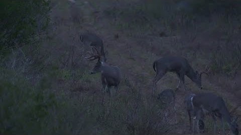 Understanding Exit Pupil