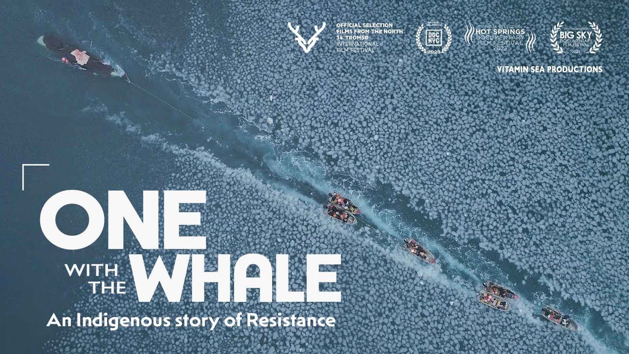 Film backdrop image for One With The Whale (2024)