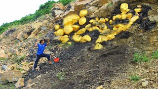 Wow  so lucky day a lot of gold under stone near river finding and dig by farmer skill village 2023