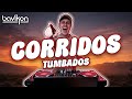 Corridos Tumbados Mix 2026 | Corridos Belicos Nuevos | Fuerza Regida, Peso Pluma, Neton Vega Mp3 Song