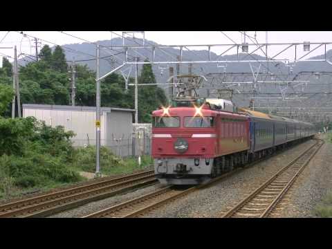 2010920　 　北陸本線　　新疋田　　 4002レ　EF81 101