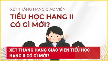 Xét thăng hạng giáo viên tiểu học hạng II có gì mới? | Báo Lao Động