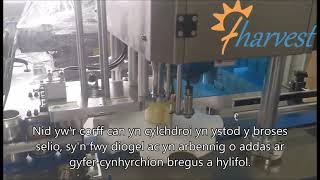 Gall Sudd Cnau Coco Diod Coffi Gynhyrchu Peiriant Selio,Alwminiwm Gall Offer Sealer