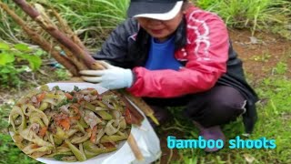 Fresh bamboo shoots/buhay japan/buhay probinsya