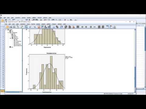 Calculating Descriptive Statistics in SPSS using the 