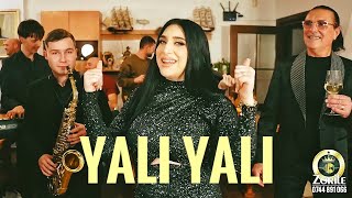  Zorile Din Galati  Anayali Yali2026 muzicadepetrecere