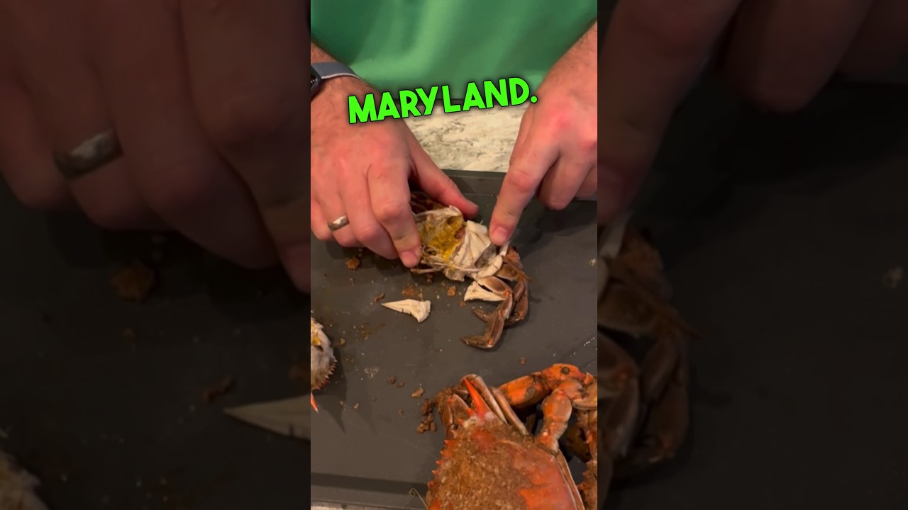 Maryland crab eating TIPS 🦀🤔 