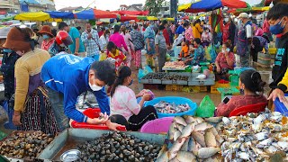 The View Of Fishes And Seafood Market - Early Street Business @ Chhbar Ampov Market