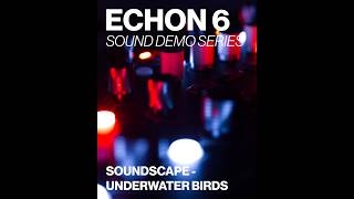 ECHON 6 Demo - Underwater Birds