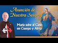 Asunción de la Virgen María. Explicación del Dogma | Padre Ricardo del Campo #novena