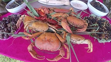 Lế hội đánh cá của người Mường | Cơm Cày - Cá Kiếm