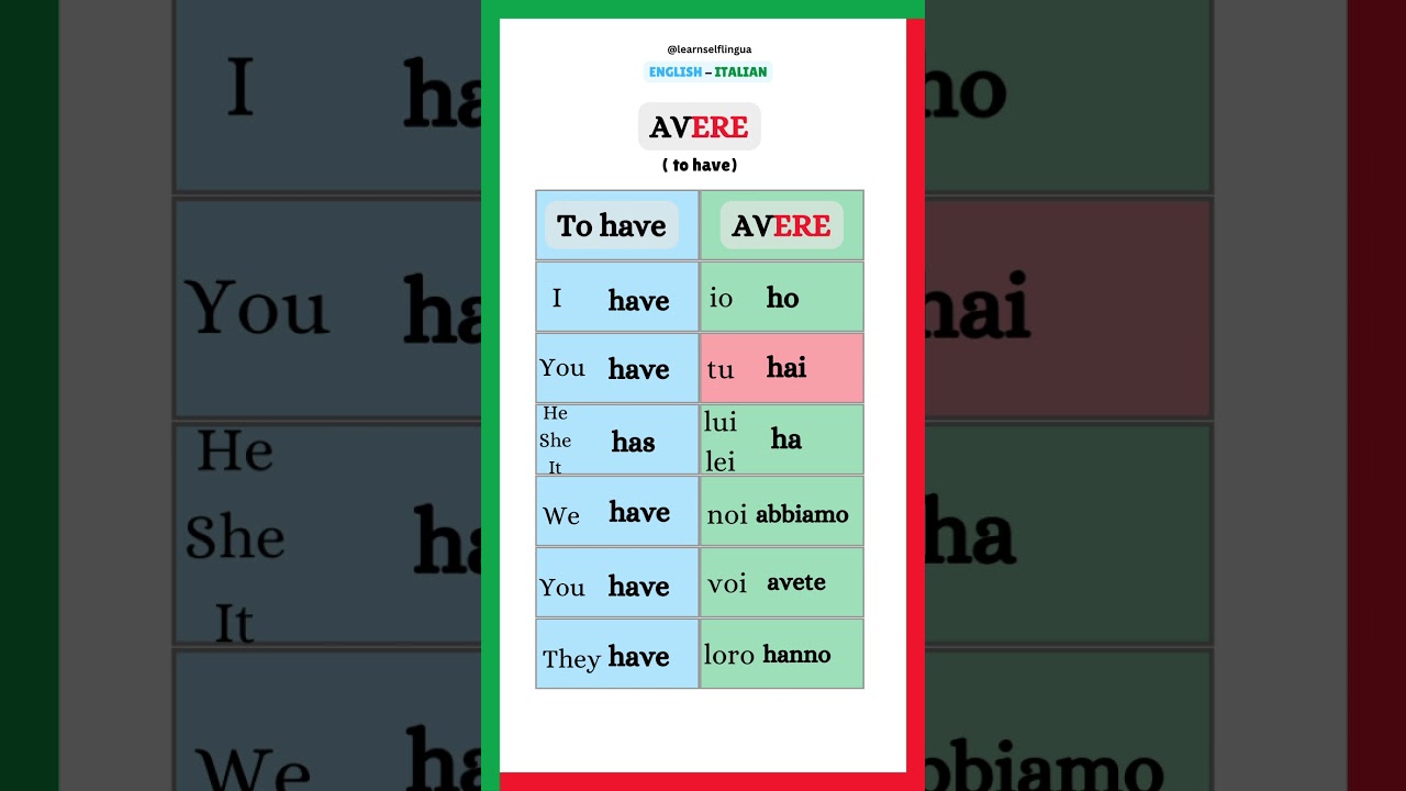 Avere ( to have ) Italian Verb Conjugation 