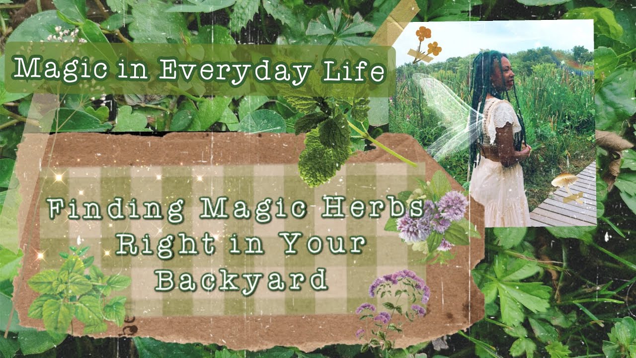 magic-in-everyday-life-finding-magic-herbs-and-plants-in-your-own
