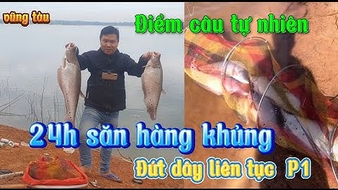 Trải Nghiệm Câu Cá Thát Lát Khủng Đập Sông Rây | camping fishing at night big fish
