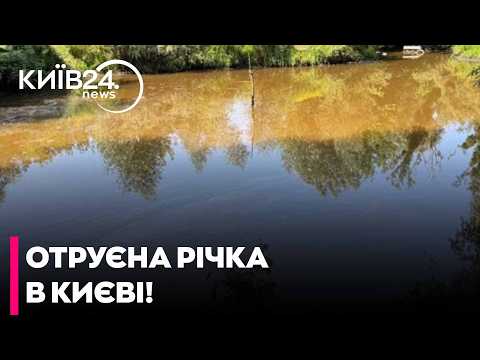 🌊У КИЄВІ ПІСЛЯ АТАКИ РФ ЗАФІКСУВАЛИ ВАЖКЕ ЗАБРУДНЕННЯ РІЧКИ БОРЩАГІВКА