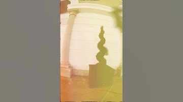 Taz li “Mud Again” Visualizer