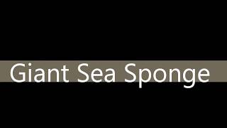 Giant Sea Sponge