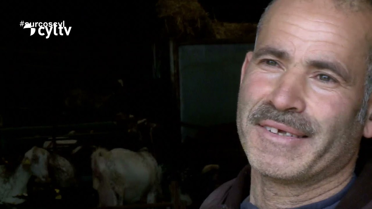 Mustafa Romane: de marinero en el Sahara a próspero ganadero y agricultor en Zamora