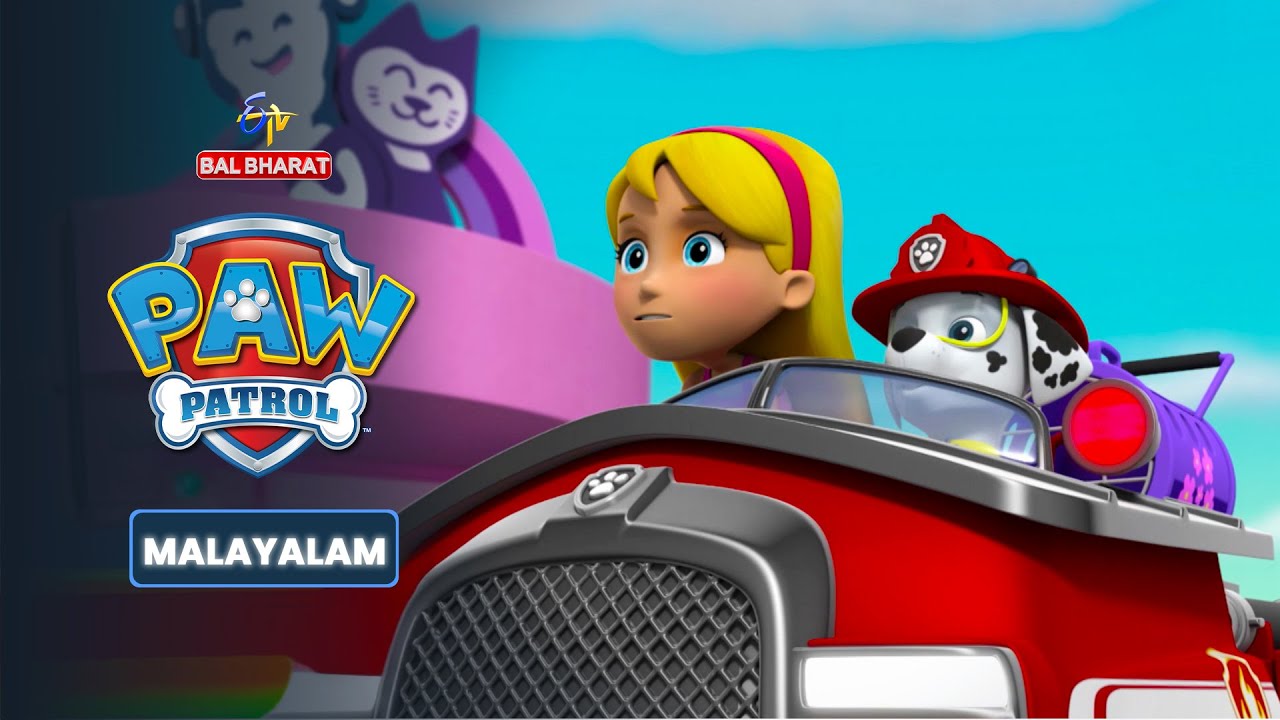 Marshall To The Rescue Paw Patrol Malayalam ETV Bal Bharat YouTube marshall-to-the-rescue-paw-patrol-malayalam-etv-bal-bharat-youtube