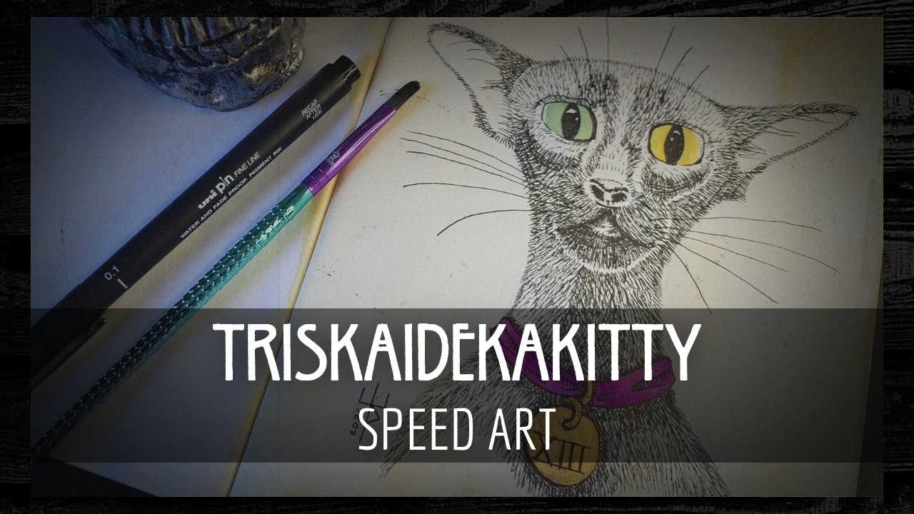 Triskaidekakitty | Black Cat Watercolour & Ink Speed Art