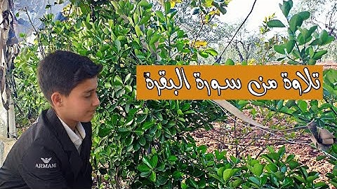 تلاوة من سورة البقرة [ياأيها الذين آمنوا كتب عليكم الصيام] 😊