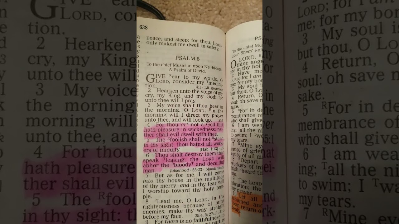 Psalm 5:4,5,6 For thouart not a God that have pleasure in wickedness.