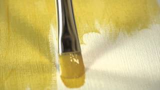 RAPHAEL KOLINSKY GOLD FORME USÉE BOMBÉE 8728 FR