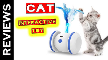 Interactive Cat Toy Review