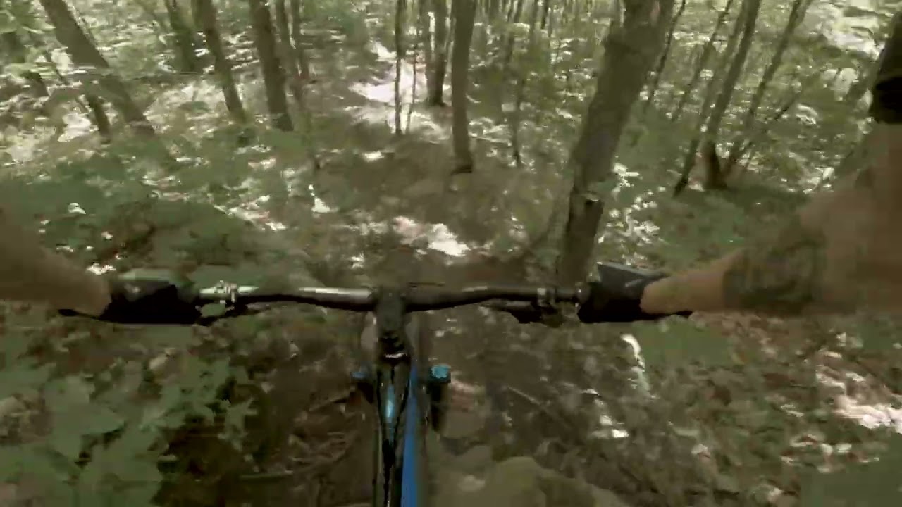 VELOMSM: FAMILY JEWEL