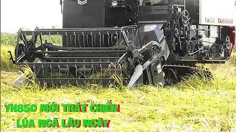 Máy cắt yanmar Yh850 mới khui thùng mới trát chiến lúa ngã bánh tráng quá sạch rice reaper