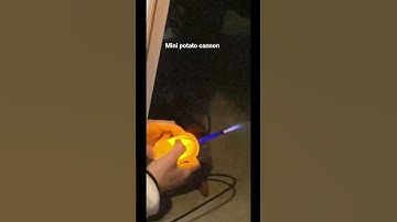 Mini potato cannon! #viral #military #viralvideo #relatable