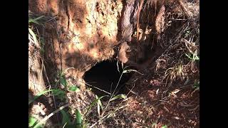 Growers Without Borders explores abandoned mine shafts and holes in the bush of eSwatini