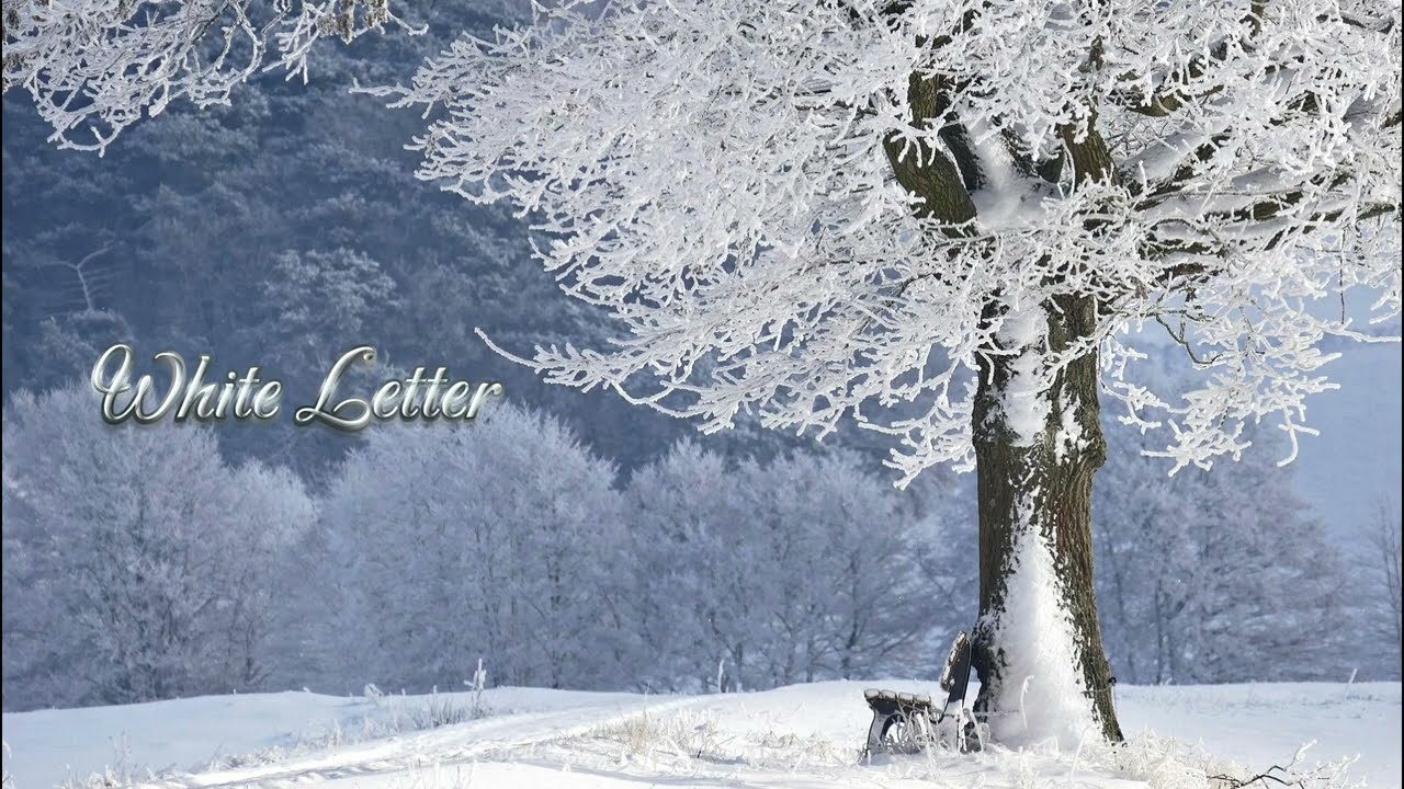 📻📃✏️ 詩.recite poetry《 하얀 편지 》ost ver. ( poeta. Jinxiu Pei ) 