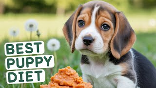 1 Month Old Puppy Diet: Formula, Soft Food, and Weaning Tips screenshot 4