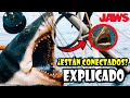 TODOS LOS TIBURONES DE LA SAGA JAWS | CONEXIÓN EXPLICADA