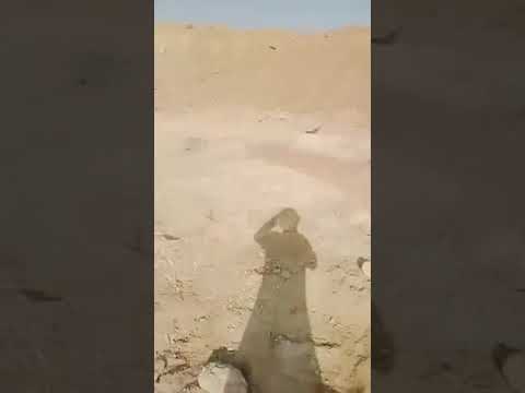 محمد عبدالرحيم احمد 