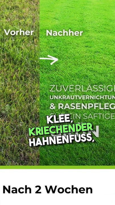 Gegen welche Unkräuter wirkt der Rasendünger plus UV von TerraUno 