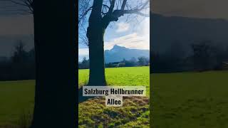Salzburg | Hellbrunner Allee | Austria | EU #salzburg #shorts #viral #2023 #muzart #tour #ExploreEU