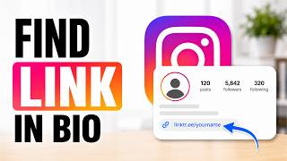 Can't Find The Link In Bio? Here Is How To See It